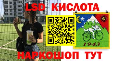дживик Берёзовский