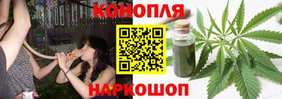 амф Бийск