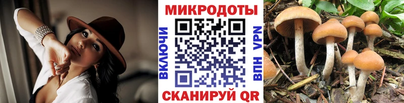 Галлюциногенные грибы мицелий  дарнет шоп  OMG маркетплейс  Батайск 