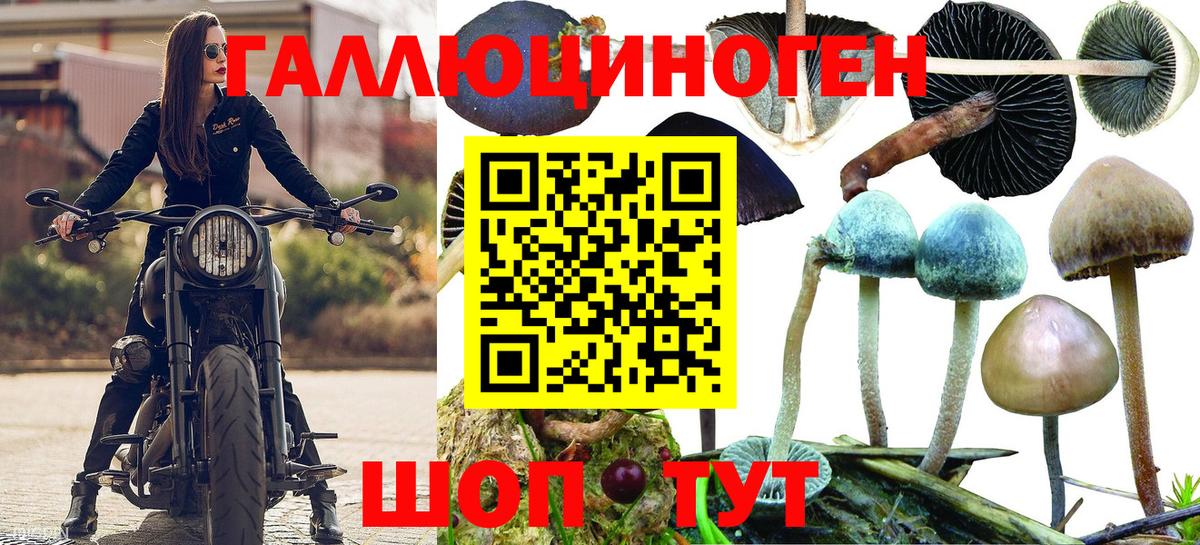 Псилоцибиновые грибы GOLDEN TEACHER Батайск