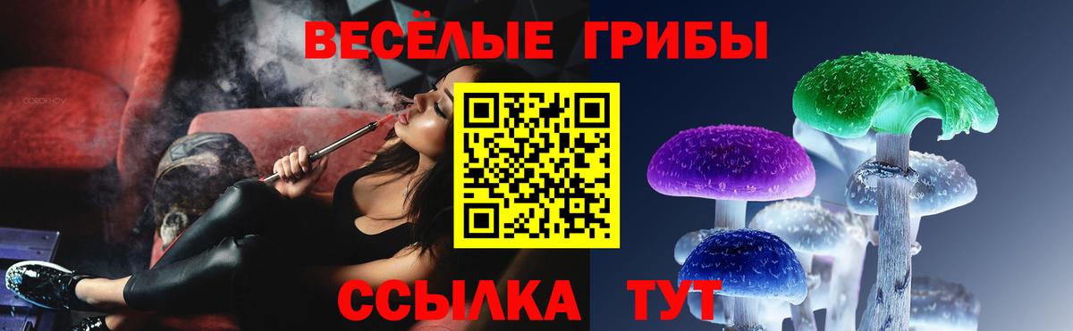 цена наркотик  Батайск  Псилоцибиновые грибы мицелий 